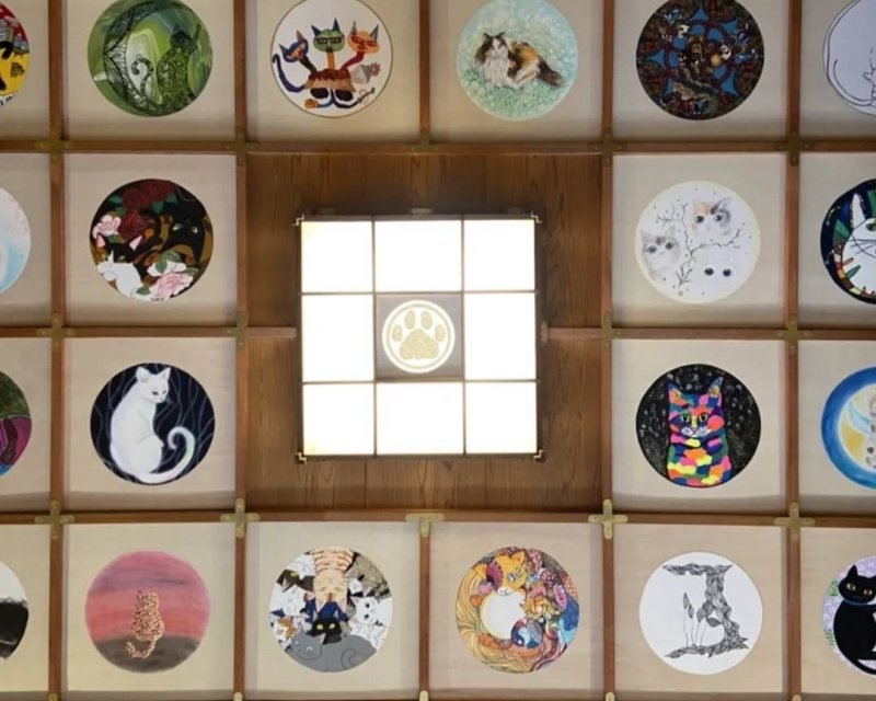 猫猫寺【本殿】44人の作家による天井画