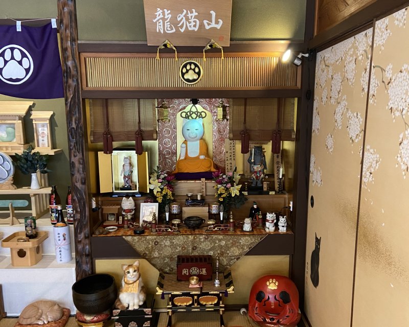 猫猫寺　大日猫来様