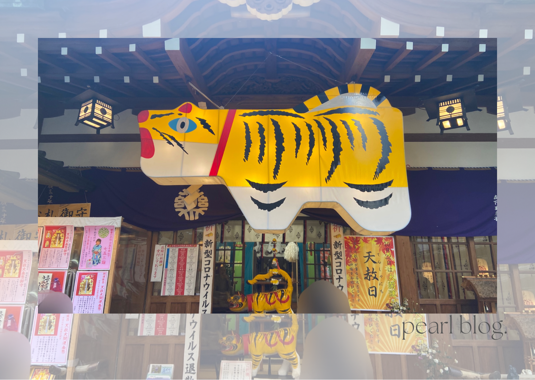 大阪】北浜にある少彦名神社はペット(猫・犬)と一緒に参拝ができる