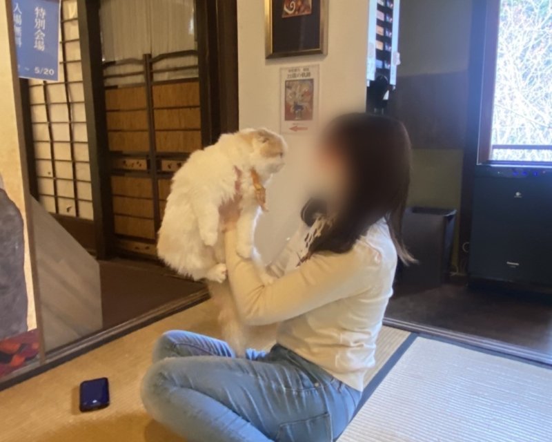猫猫寺のマヨちゃんと執事