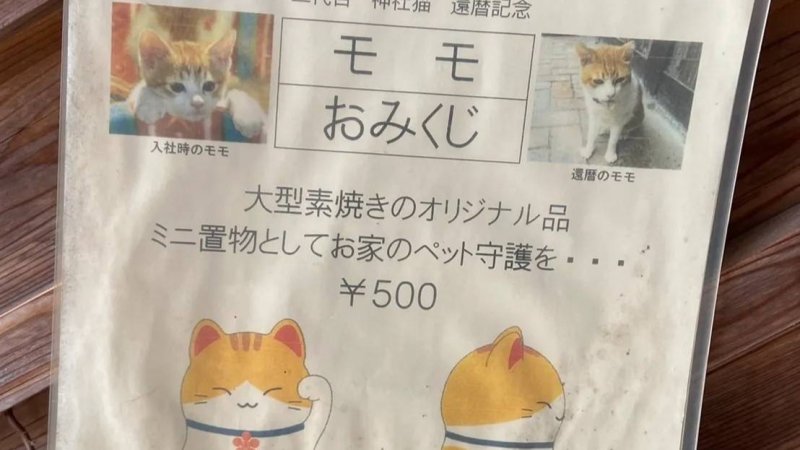 大阪上宮天満宮の裏側にある守護天神(猫神社)